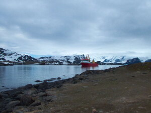 The RRS Ernest Shackleton, no longer in service with BAS, became a recurrent appearance in my time South. I think it looks majestic in the polar environments