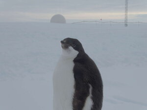 The site manager is obviously keeping up to date with progress, and communicating back via our satellite dome.