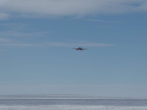 The arrival of our transport out, a DC-3. Commonly used in Antarctica for "mass" (18 passenger) transit in remote regions, again accept no substitutes, especially given the expertise of the Canadians who operate them.