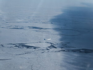 Having left Halley, we cross the Weddell Sea to the next destination. Here the ice and bergs are visible, as they will be for the next few photos!