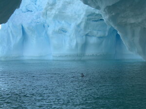 I do love these iceberg photos, but I should point out I did eventually take some of things other than icebergs. Just really enjoyed this day!