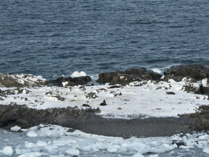 Looking off the point towards some seals chilling by the side of the peninsula.